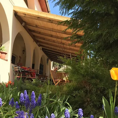 Anna Vendeghaz * Szilvásvárad